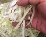 Foto del paso 1 de la receta: 419. Ensalada de col o coleslaw (entrante verdura)