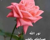 صورة لخطوة 12 من وصفة فطائر البوتشا التركية باللحمة والجبنة 🇹🇷🇹🇷🇹🇷