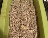 Foto del paso 2 de la receta: Pan de semillas sin tacc 🍞
