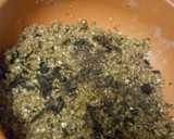 Foto del paso 2 de la receta: Galletas de avena y chocolate (cookies)