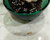 ચોકો બ્રાઉની વીથ આઈસ્ ક્રીમ (Choco Brownie With Ice- Cream Recipe In Gujarati) રેસીપી સ્ટેપ8ફોટો