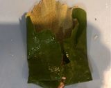 Foto del paso 2 de la receta: Hojitas de parra