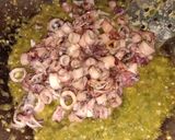 Foto langkah ke 5 dari resep Cumi asin cabe ijo.