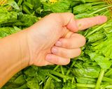 Hình bước làm 1 của món Cải bó xôi xào tỏi trong 1 nốt nhạc