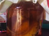 Kombucha: bebida fermentada