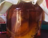 Foto del paso 3 de la receta: Kombucha: bebida fermentada