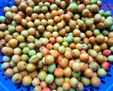 Hình bước làm 1 của món Mơ muối để mãi không hỏng