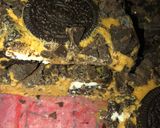 Foto del paso 4 de la receta: Cuadraditos de oreo con dulce de leche!!