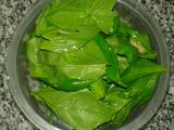 Salsa de tomates frescos y albahaca con pasta