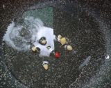 Foto del passaggio 3 della ricetta Zuppetta di cannellini e coste