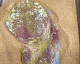 A picture of step 4 of German pork schnitzel.