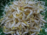 Lumpia basah ala-ala