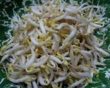 Foto langkah ke 3 dari resep Lumpia basah ala-ala.