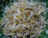 Foto langkah ke 3 dari resep Lumpia basah ala-ala.
