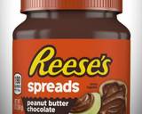 Mike's Ultimate Fruity Nutty PB&J Sandwiches For Kids recipe step 2 photo