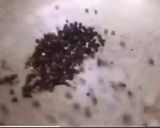A picture of step 5 of Homemade Sambar masala Powder.
