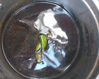 Es Cendol Merah Putih - Step 4