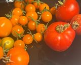 Une image de l'étape 2 de Salade mixte de fin d’été, remake.