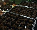 Foto langkah ke 2 dari resep Browniez Kukus Mekar.