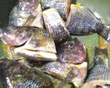Foto langkah ke 2 dari resep Pesmol ikan mujair.