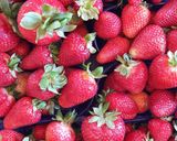 Foto del passaggio 1 della ricetta Crostata morbida alla crema pasticcera e fragole