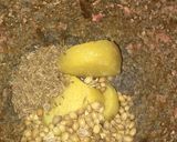 A picture of step 1 of Qeema Alo.