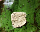 ভেটকি মাছের পাতুরি (bhetki macher paturi recipe in Bengali) রেসিপির ধাপ 6 ছবি