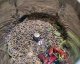 A picture of step 2 of Sambhar.