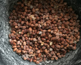 A picture of step 4 of Peanut.