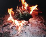 Foto del paso 8 de la receta: Carne en chala Primavera ahumada en leña