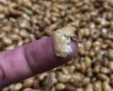รูปขั้นตอนการทำที่ 8 ของ Natto นัตโตะ (ถั่วเน่าญี่ปุ่น)