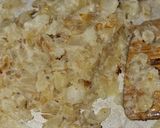 Foto del paso 2 de la receta: Coliflor romanesco gratinado con bechamel de anchoas y algo más!