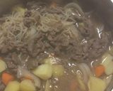 Foto langkah ke 7 dari resep Japanese Food: Nikujaga.