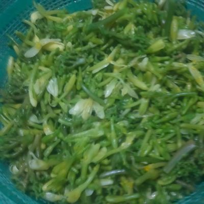 Langkah 1