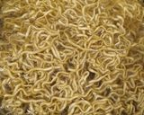 Foto langkah ke 4 dari resep I Fu Mie (Mie kering Guyur Capcay).