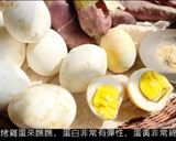 氣炸烤箱烤雞蛋（同場加映烤地瓜） -的食譜步驟8照片