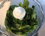 Une image de l'étape 6 de Herbes fraîches au naturel (menthe, coriandre, persil frisé).