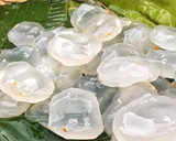 நுங்கு சர்பத் ரெசிபி ஸ்டேப் 1 புகைப்படம்