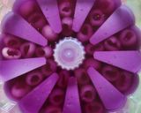 Foto langkah ke 7 dari resep Puding Lapis Cherry Bunga Telang Longan.