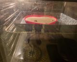 Valentin napi sajttorta recept fázis 8 fotója