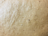Orujo de uvas pan de centeno de queso 🥖