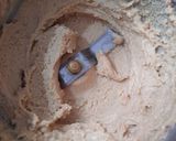 A picture of step 4 of Homemade Peanut Butter.