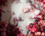 Egyszerű gyümölcsleves recept fázis 1 fotója