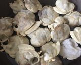 Foto del paso 1 de la receta: Pastamar