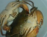 Foto langkah ke 1 dari resep Kepiting Saos Padang, simple (dg bumbu dasar merah).