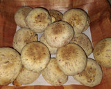 Foto del paso 6 de la receta: Pancitos fácil rápido y sin levadura