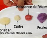 Une image de l'étape 4 de Nerikiri Wagashi 