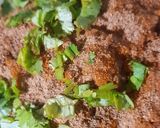 A picture of step 5 of Kathal Ke Shami Kebab.