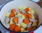 A picture of step 2 of Pork Stew.