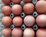 Foto langkah ke 1 dari resep Telur Karamel.